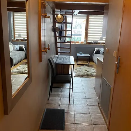 Viva Maria -sky Moszczak Apartments&spa * Закопане