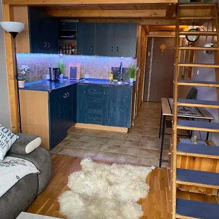 Viva Maria -sky Moszczak Apartments&spa Закопане